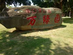 -万绿园