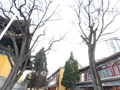 -挂甲禅寺