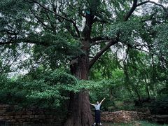 -昆嵛山石门里景区