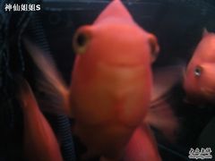 Photo-0028-永兴餐厅(复兴中路店)