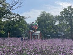 -沈阳植物园