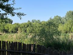 -Supine Bistro溯泮餐厅