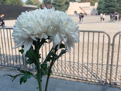 -侵华日军南京大屠杀遇难同胞纪念馆