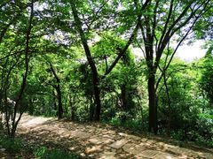 -西湖风景区十里琅珰-五云山