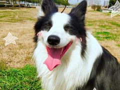 -优衣库(南京建邺万达广场店)