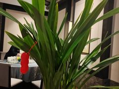 -三宝大饭店-中和艺素餐厅(浦上金山正祥广场店)