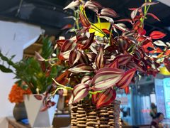 -云尊府云南菜·蒸汽石锅鱼(学清路店)