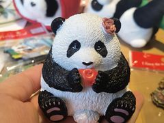 -轩客会(熊猫书店)