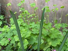 -狼山风景名胜区