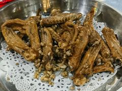 -石岐乳鸽村(南海第三分店)