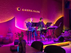 -Ambra Haus琥珀屋精酿餐厅(宝山店)