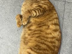 -毒蛇面馆(虹口店)