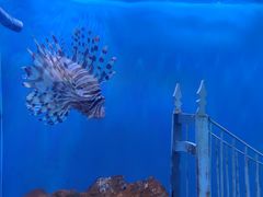 -太平洋海底世界