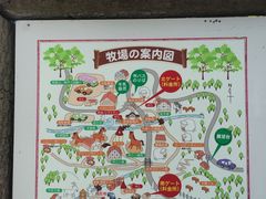 -神户市立六甲山牧场