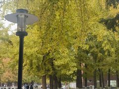 -辽宁大学(崇山校区)