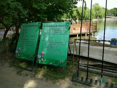 -紫竹院公园冰场