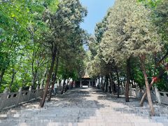 -香山寺
