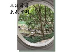 -上海醉白池公园