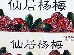 -野人牧坊Gelato(天津南开大悦城店)
