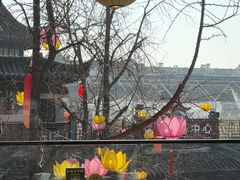 -奇芳阁·百年清真南京菜(夫子庙店)