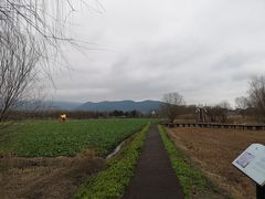 -长兴太湖图影湿地文化园