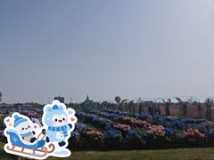 -荷兰花海