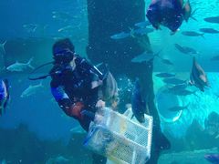 -北戴河圣蓝海洋公园