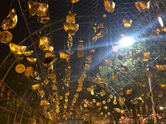 -锦江乐园舞狸花花游园会(夜场专享)
