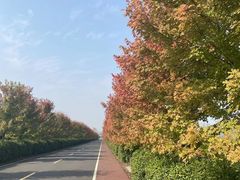 -南京枫彩漫城