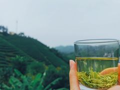 -心无尘茶餐馆(径山村店)