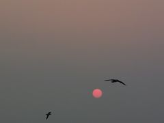 -那香海钻石沙滩浴场