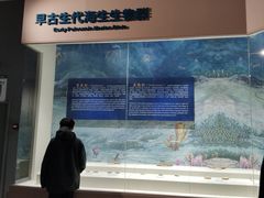 -辽宁古生物博物馆