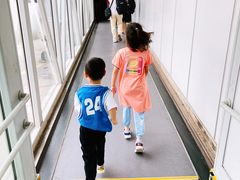 -石家庄正定国际机场-T2航站楼