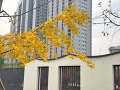 -杭州半山国家森林公园