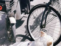 -物美超市(马家堡店)