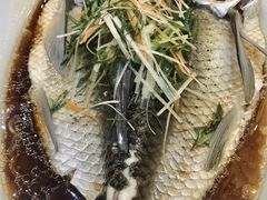 -有腥气私房菜·寻味顺德