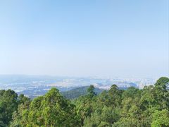 -水濂山森林公园