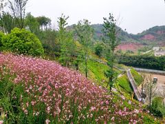 -三岔湖景区