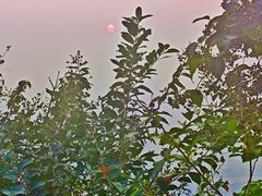 -杭州半山国家森林公园