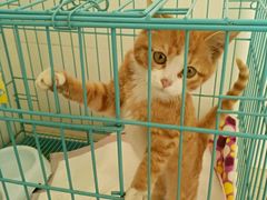 -畜牧兽医站(共江路店)