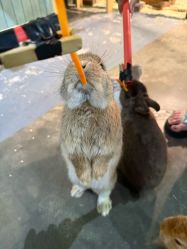 -Zoolung Zoolung动物主题公园(海信广场店)