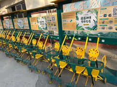 -保定市动物园