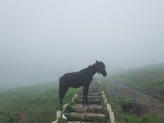 -灵山