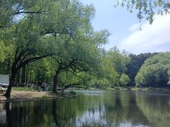 -绿荫坊餐厅(共青森林公园店)