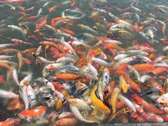 -北戴河圣蓝海洋公园