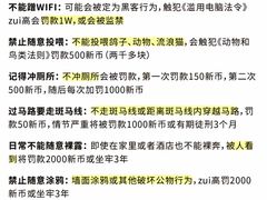 -圣淘沙天际线斜坡滑车