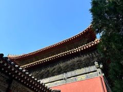 -泰安东尊华美达广场酒店(泰山景区店)