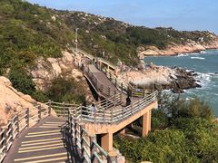 -广东惠东海龟国家级自然保护区