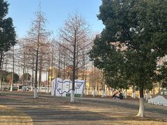 -滆湖低碳生态公园