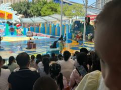 -海合安成都极地海洋公园